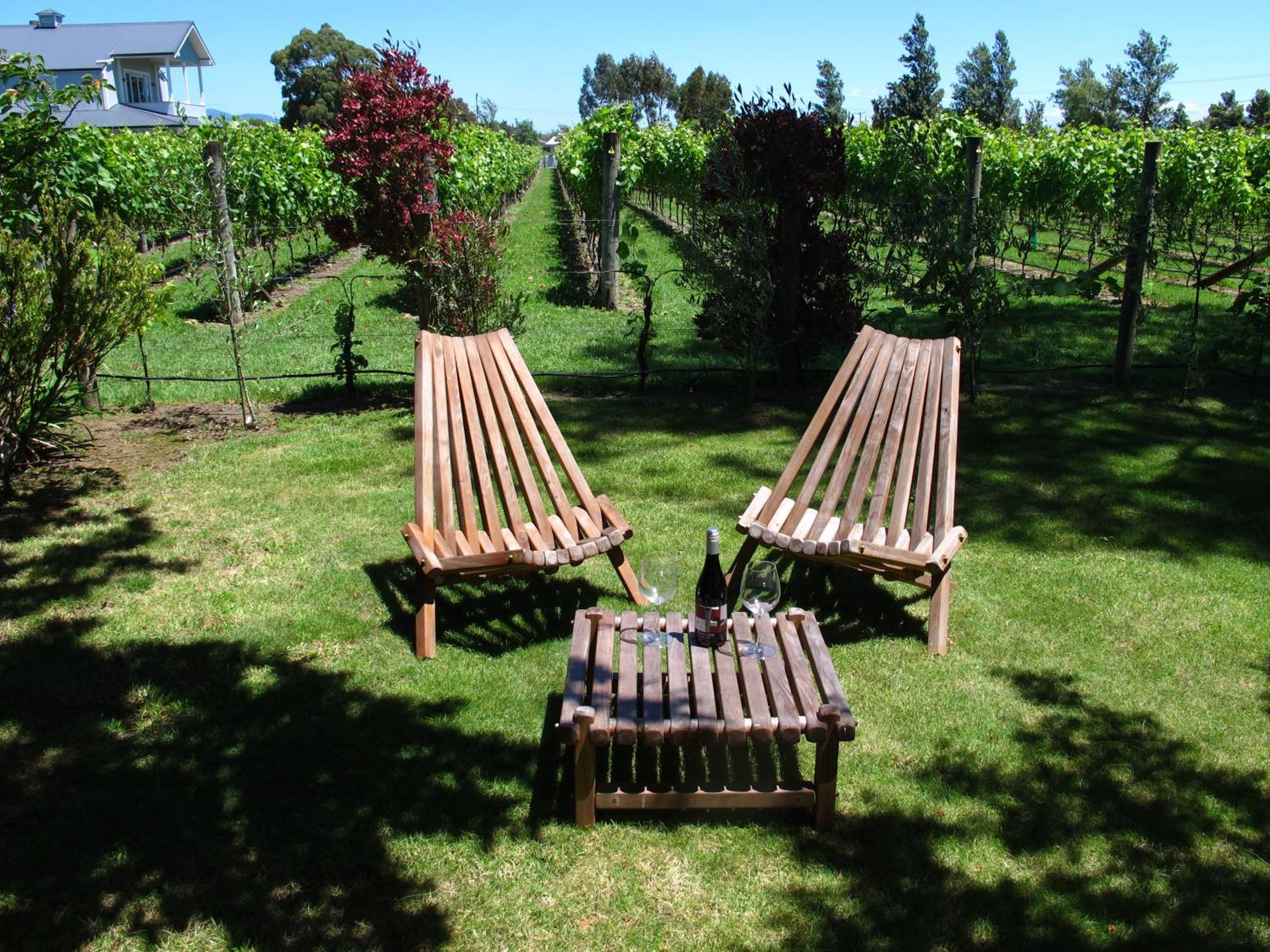 Villa In The Vines 马丁伯勒 外观 照片